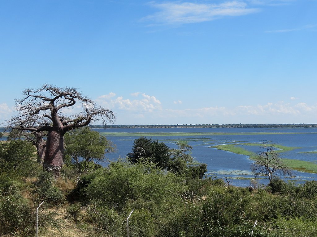 03-The swollen Chobe River.jpg - The swollen Chobe River
